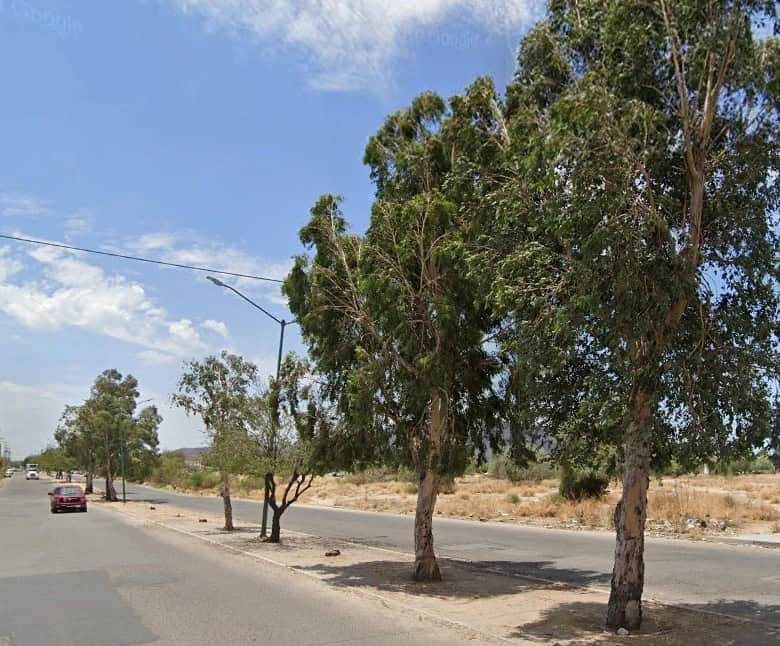 Lotes comerciales en venta en zona estratégica con fácil acceso y rodeados de naturaleza, ideales para inversión y desarrollo de proyectos inmobiliarios.