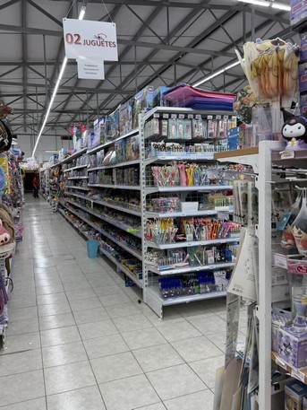 Amplio espacio de tienda con estanterías llenas de juguetes y productos de consumo en un centro comercial moderno. Ideal para inversión en bienes raíces comerciales.